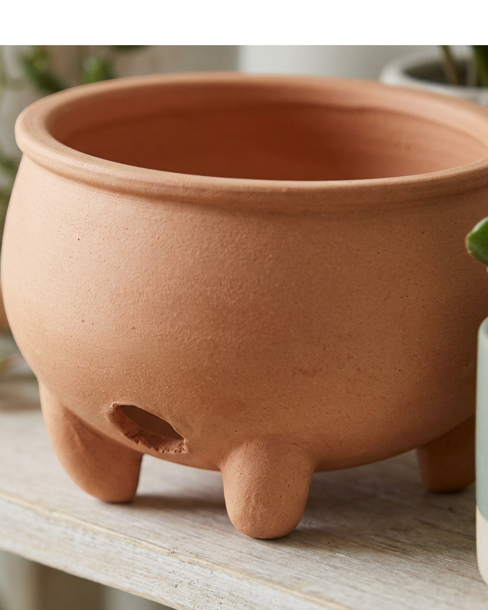 Gleao Footed Ceramic Planter Terracotta 5.5 in