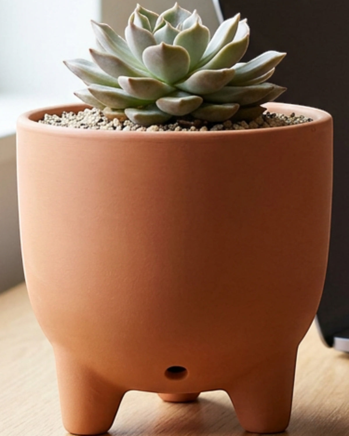Gleao Footed Ceramic Planter Terracotta 5.5 in