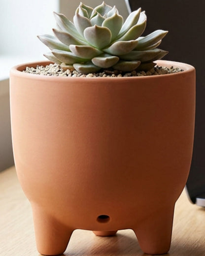 Gleao Footed Ceramic Planter Terracotta 5.5 in