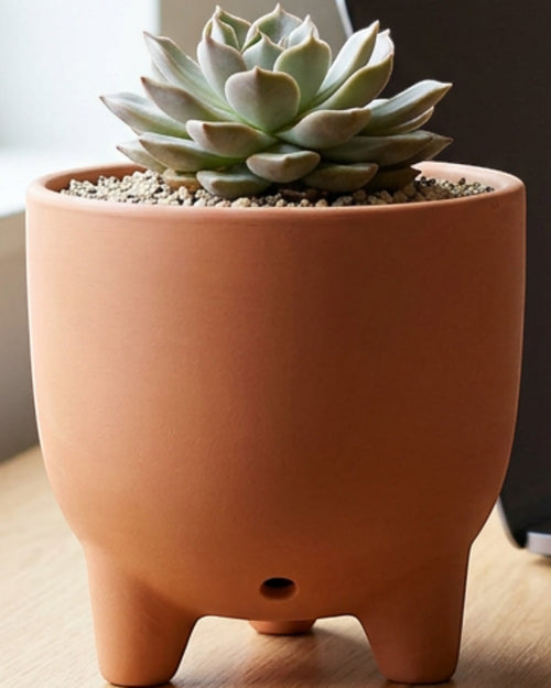 Gleao Footed Ceramic Planter Terracotta 5.5 in