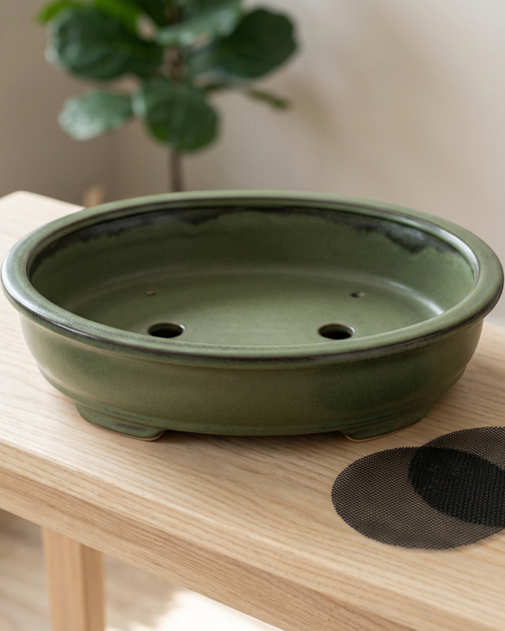 Gleao Shallow Oval Ceramic Planter 30 cm Moss Green - Lifestyle view
