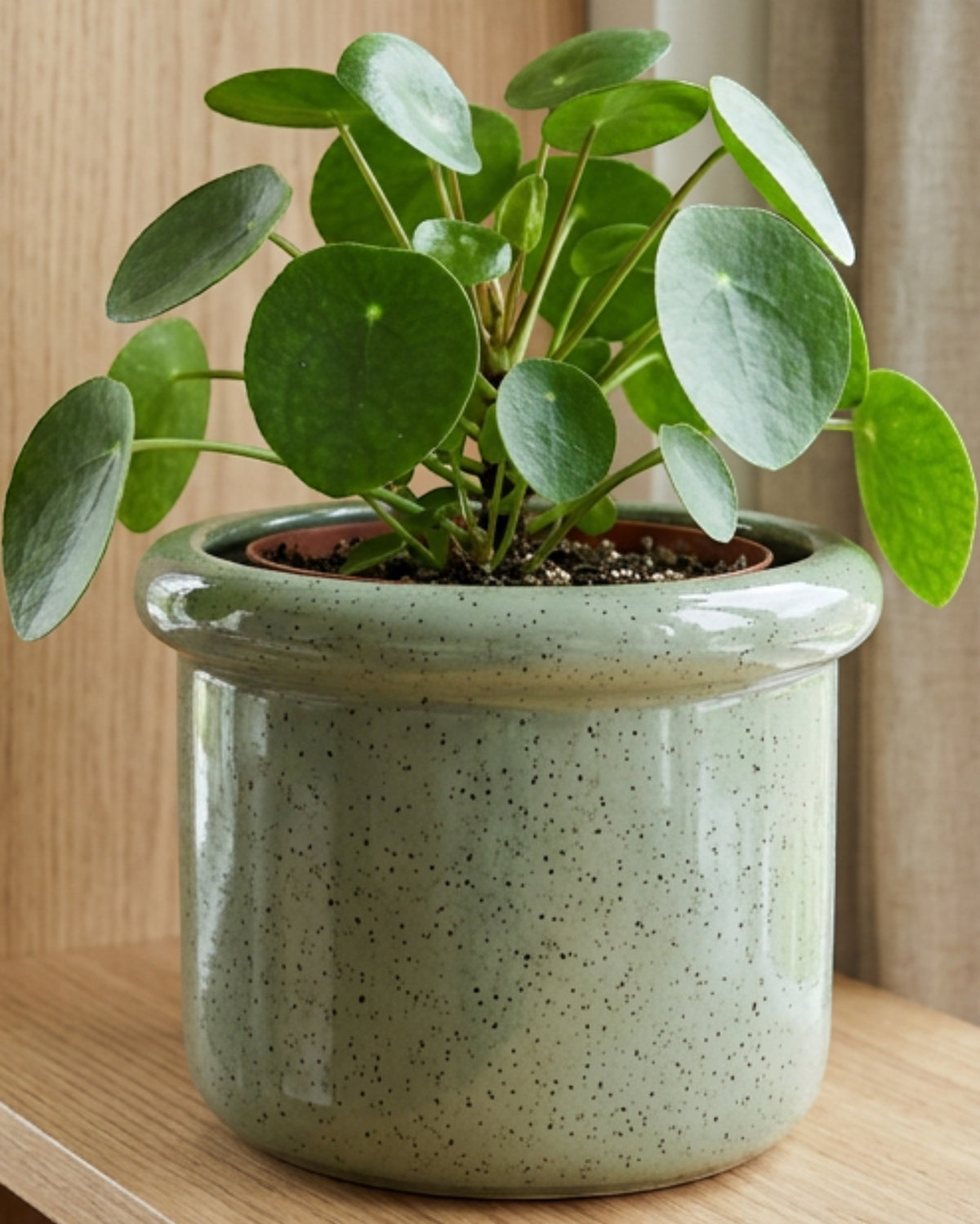 Gleao Speckled Ceramic Cachepot Sage 7 in